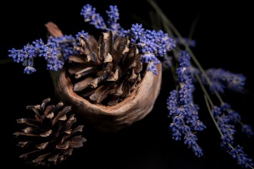 pine cones and lavender